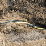 detect and map various underground conduits